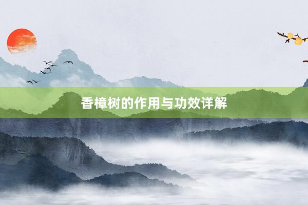 香樟树的作用与功效详解
