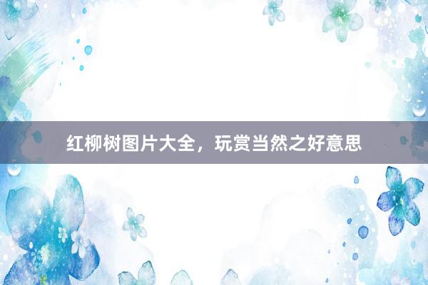 红柳树图片大全，玩赏当然之好意思