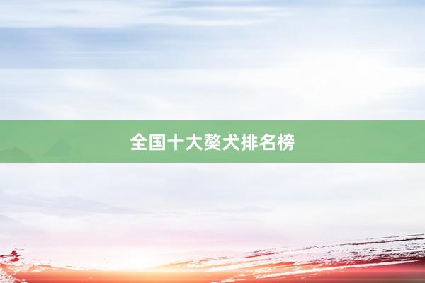 全国十大獒犬排名榜