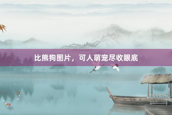 比熊狗图片，可人萌宠尽收眼底